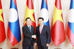 老越副总理会晤：加速互联互通项目，深化全面合作