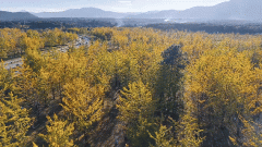 边陲小城腾冲，缘何让中外科学家跨越山海而来？